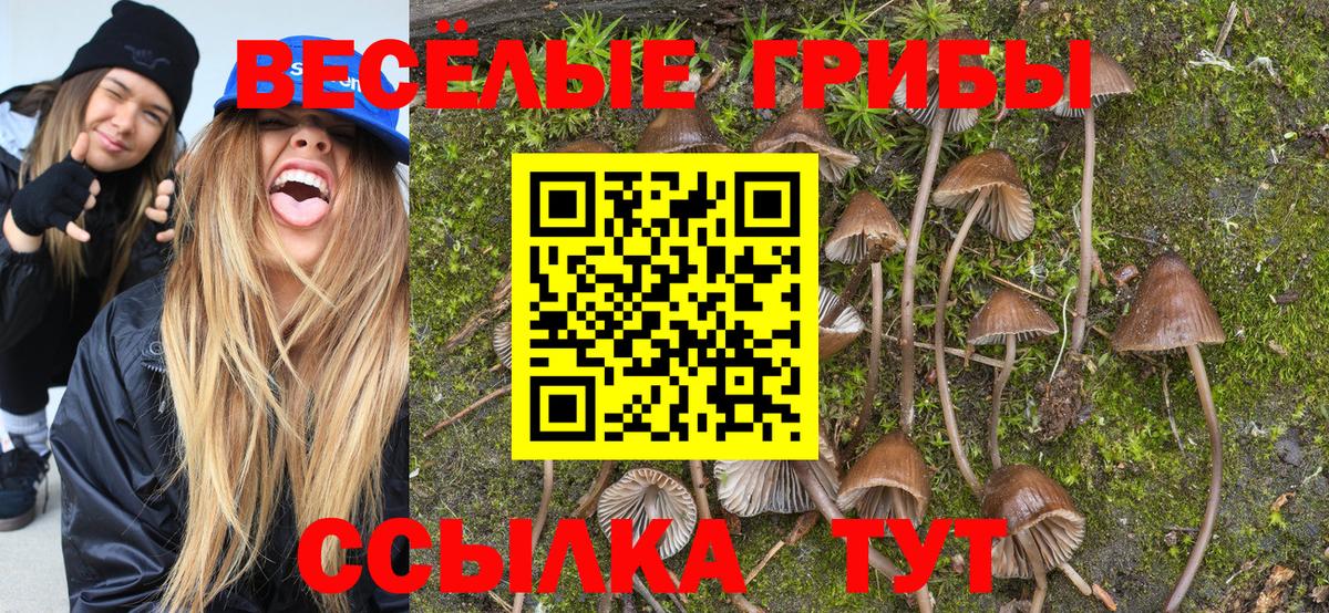 Галлюциногенные грибы Psilocybine cubensis Красный Сулин